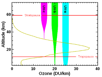 UV radiation levels