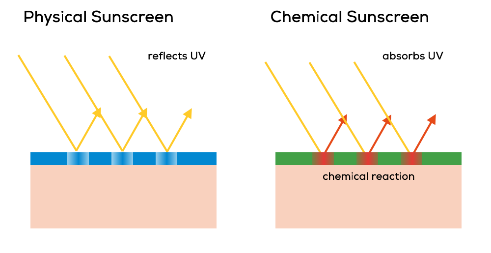 Physical vs Chemical sunscreens